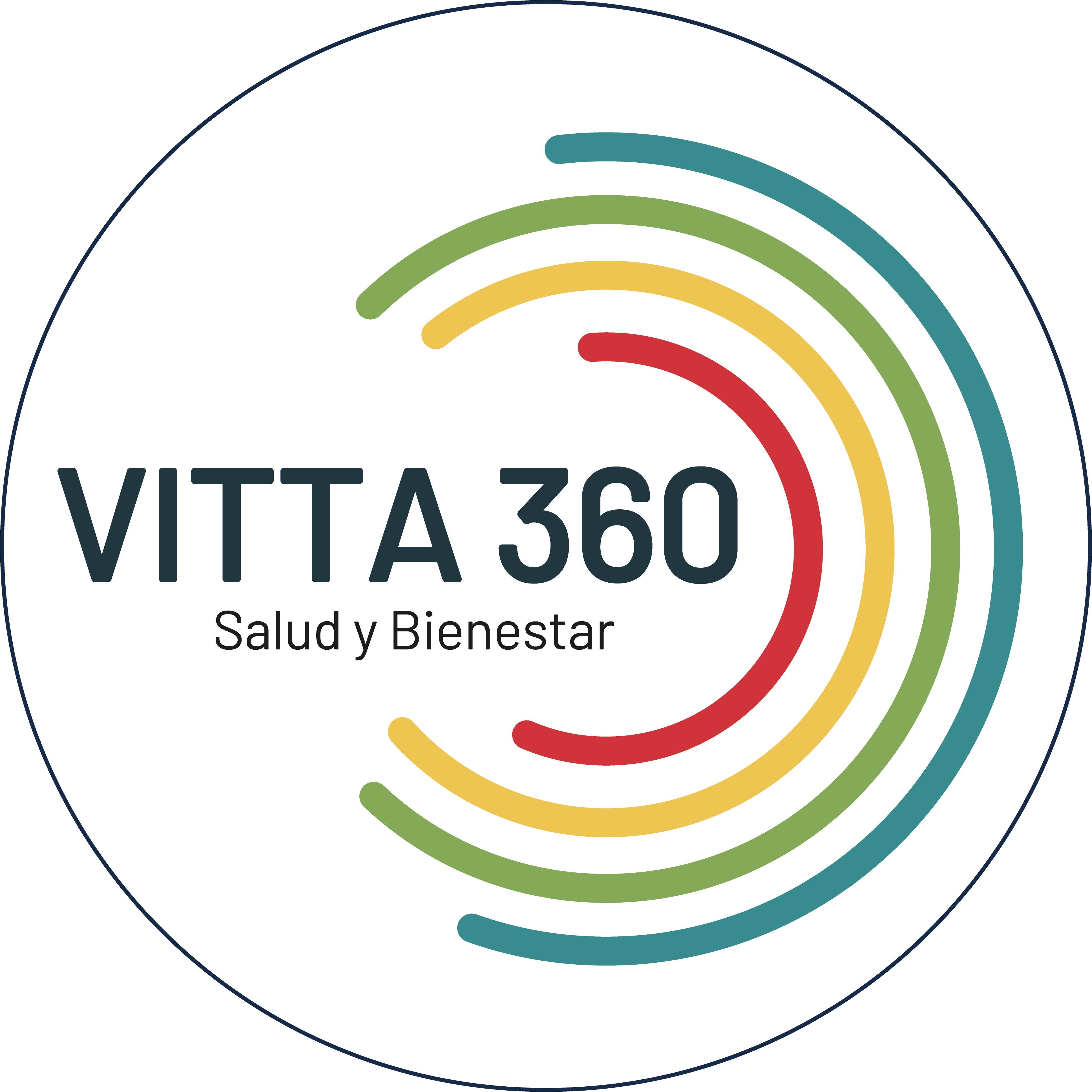 Vitta 360 logotipo logo