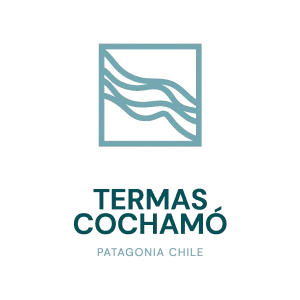 logo 1 removebg preview